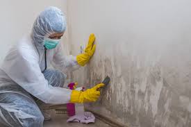 Best Mold Odor Removal Services  in Campbell, FL